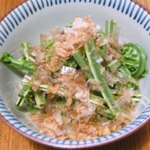 たまには山菜！こごみのおひたし♪（下ごしらえ付き）